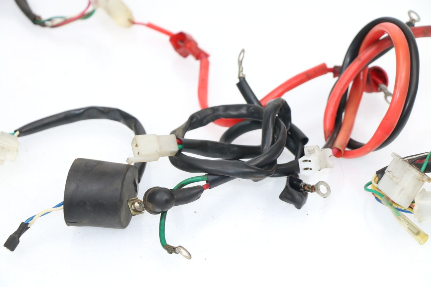 photo de Cablaggio SAMPO LY50QT-21 50 (2009 - 2014)