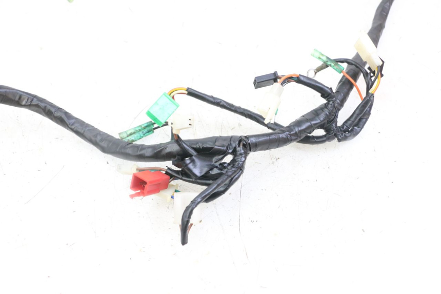 photo de IMPIANTO ELETTRICO MASAI XL 50 (2012 - 2019)