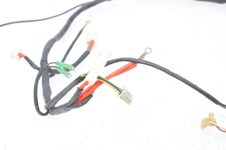 photo de IMPIANTO ELETTRICO MASAI XL 50 (2012 - 2019)