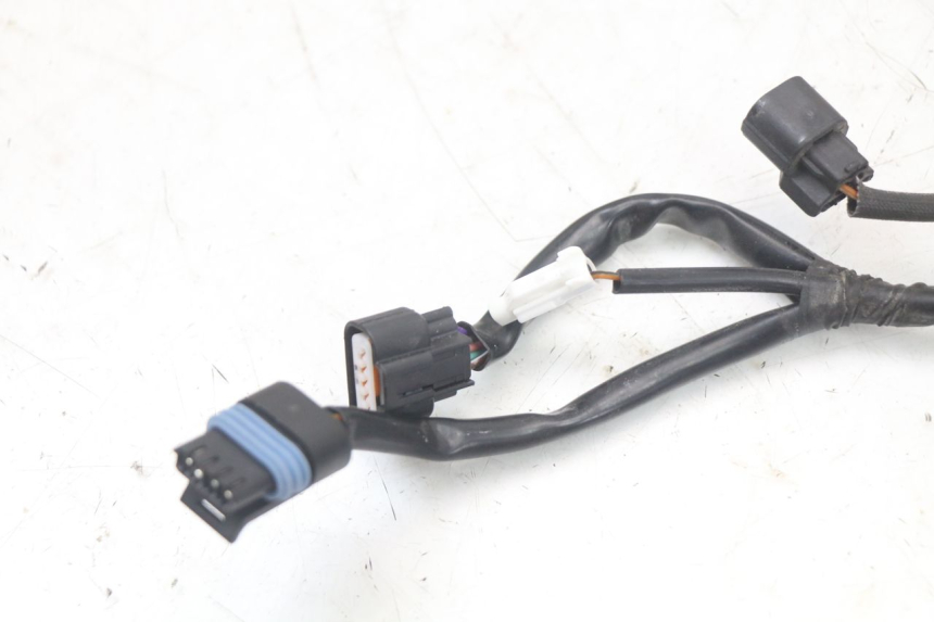 photo de IMPIANTO ELETTRICO MASH LEGEND'R 4T 50 (2021 - 2025)