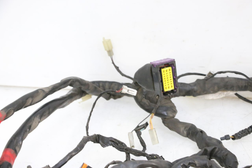 photo de IMPIANTO ELETTRICO PIAGGIO MP3 125 (2006 - 2014)