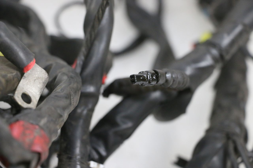 photo de IMPIANTO ELETTRICO PIAGGIO MP3 RL 250 (2007 - 2010) - Dettaglio del componente