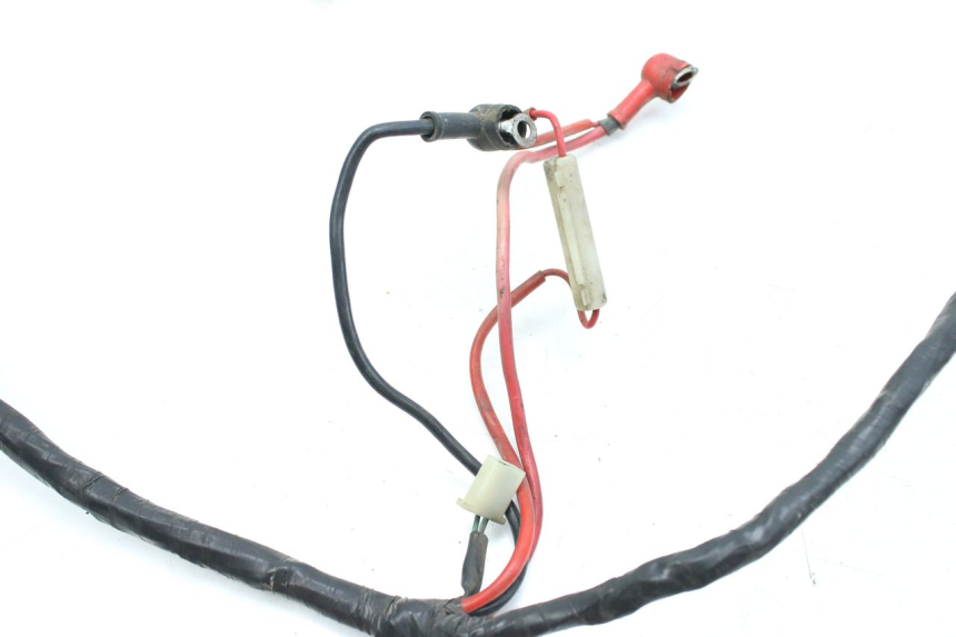 photo de FAISCEAU NECO AZZURO 4T 50 (2020 - 2023)