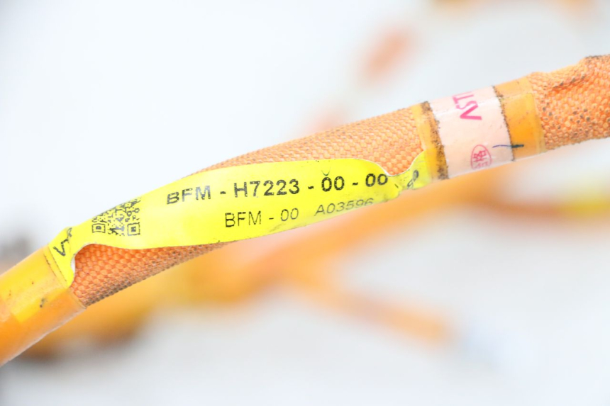 photo de IMPIANTO ELETTRICO YAMAHA NEO'S CORE 1 (2022 - 2026) - Dettaglio del componente