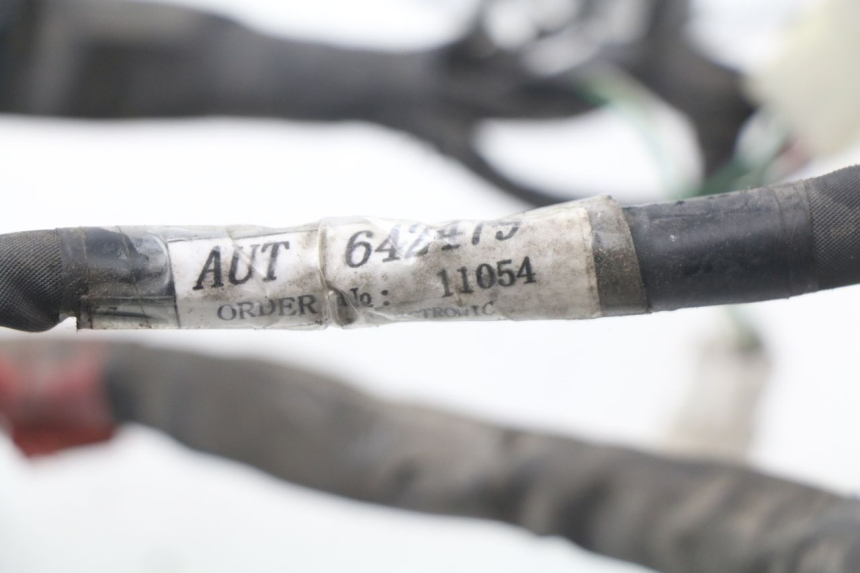 photo de IMPIANTO ELETTRICO PIAGGIO NEW TYPHOON 50 (2010 - 2017)