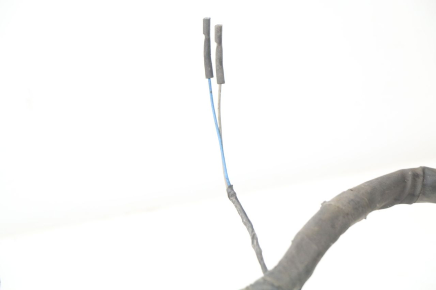 photo de IMPIANTO ELETTRICO PIAGGIO NEW TYPHOON 50 (2010 - 2017)