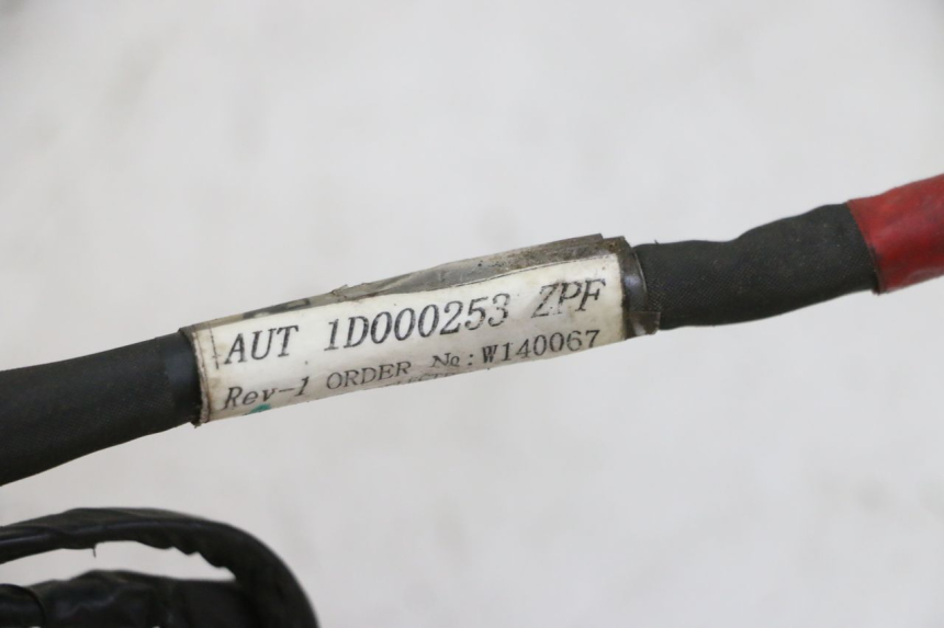 photo de IMPIANTO ELETTRICO PIAGGIO NEW TYPHOON 50 (2010 - 2017)