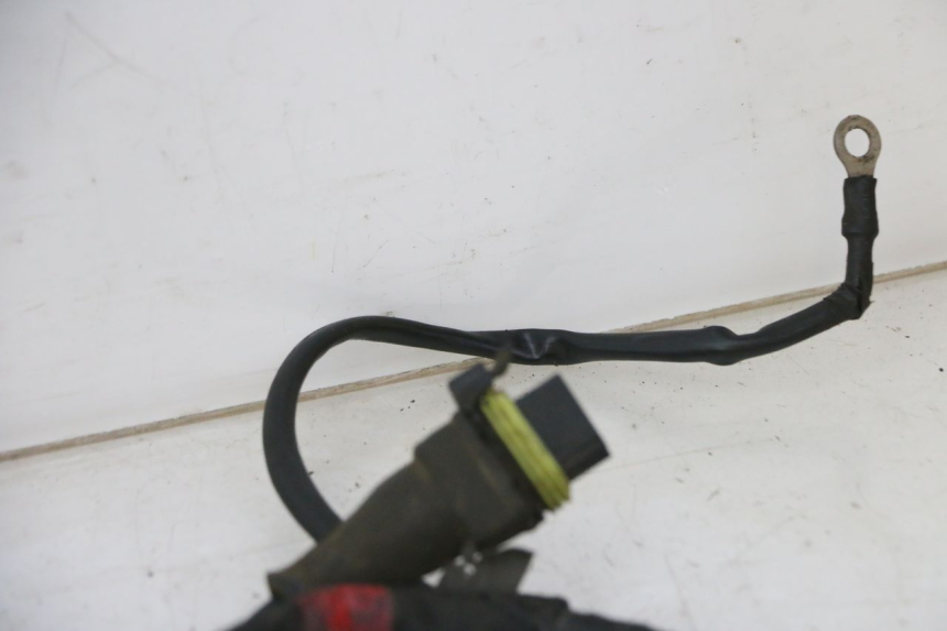 photo de IMPIANTO ELETTRICO PIAGGIO NEW TYPHOON 50 (2010 - 2017)