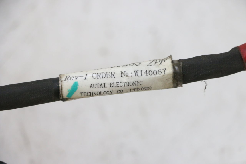 photo de IMPIANTO ELETTRICO PIAGGIO NEW TYPHOON 50 (2010 - 2017)