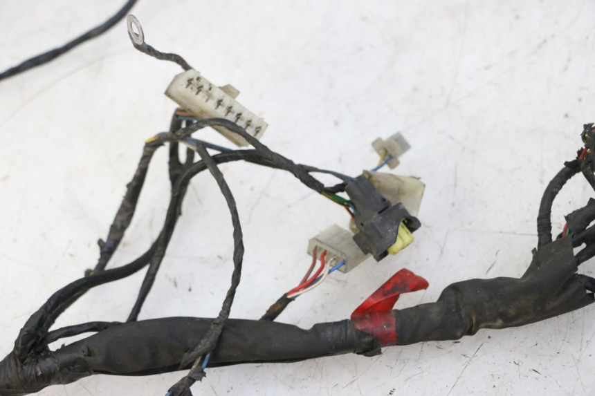 photo de IMPIANTO ELETTRICO PIAGGIO NEW TYPHOON 50 (2010 - 2017)