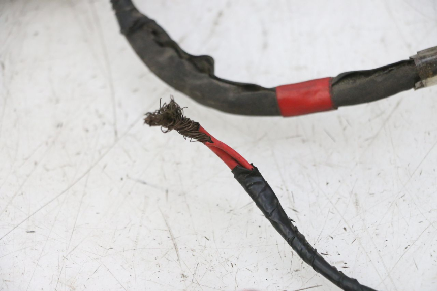 photo de IMPIANTO ELETTRICO PIAGGIO NEW TYPHOON 50 (2010 - 2017)