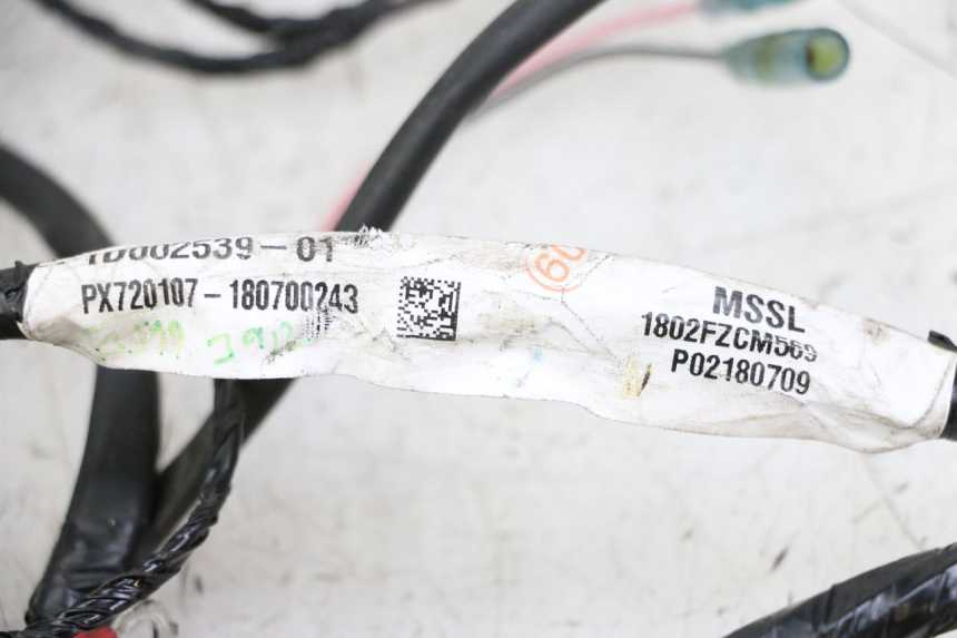 photo de IMPIANTO ELETTRICO PIAGGIO NRG POWER PUREJET 50 (2018 - 2021)