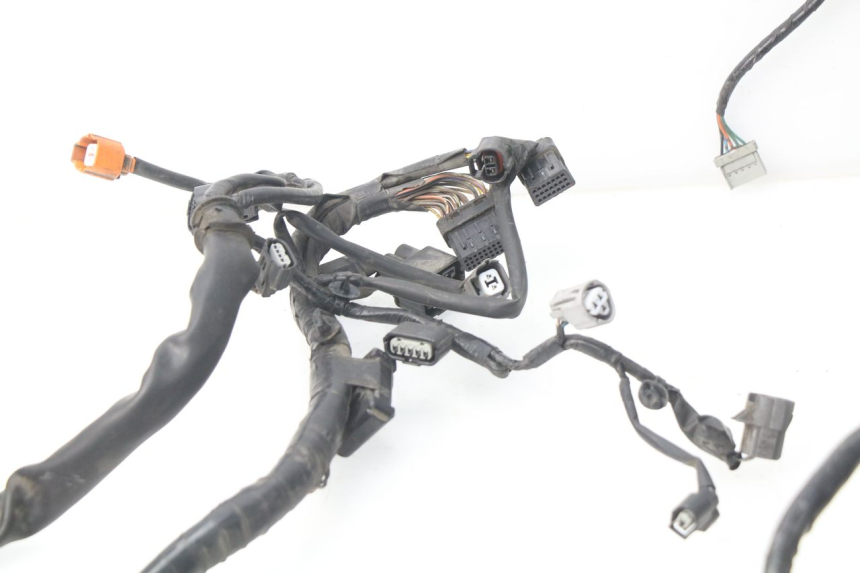 photo de Cablaggio HONDA NSS EX FORZA 250 (2008 - 2009)