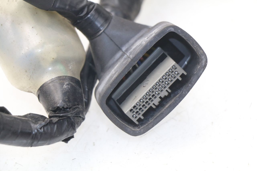 photo de Cablaggio HONDA NSS EX FORZA 250 (2008 - 2009)