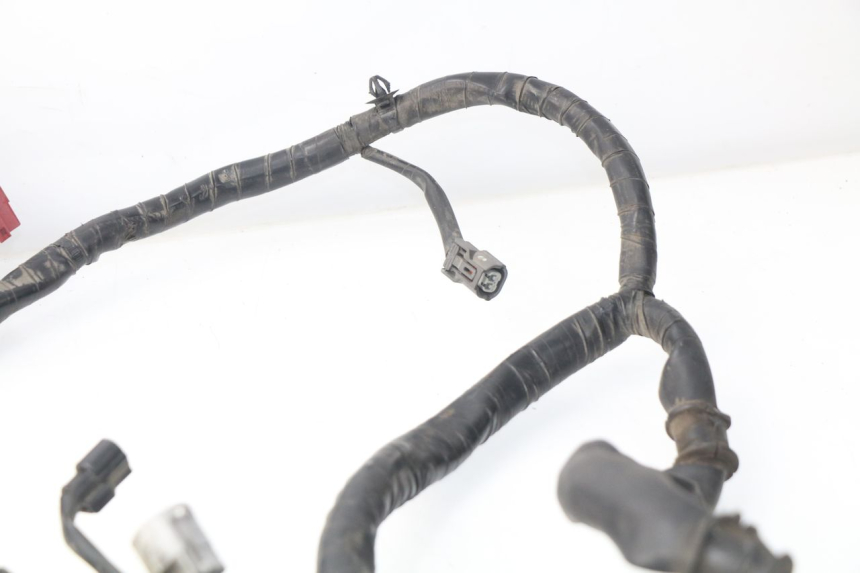 photo de Cablaggio HONDA NSS EX FORZA 250 (2008 - 2009)