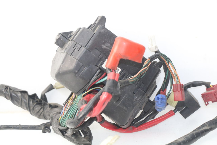 photo de Cablaggio HONDA NSS EX FORZA 250 (2008 - 2009)