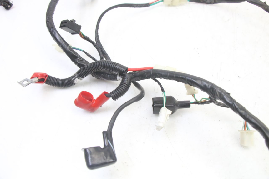 photo de IMPIANTO ELETTRICO SYM ORBIT III 3 4T 50 (2021 - 2025)
