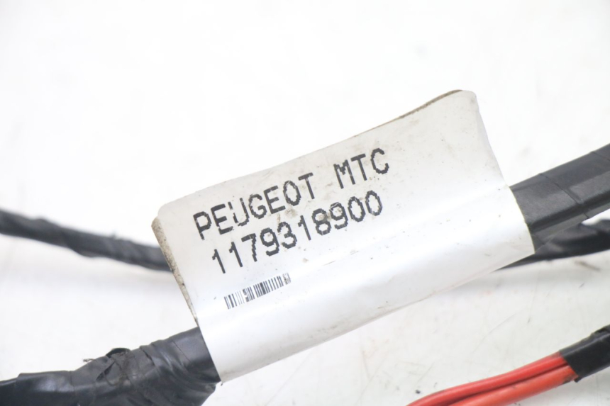 photo de FAISCEAU PEUGEOT CITYSTAR 2T 50 (2018 - 2021)