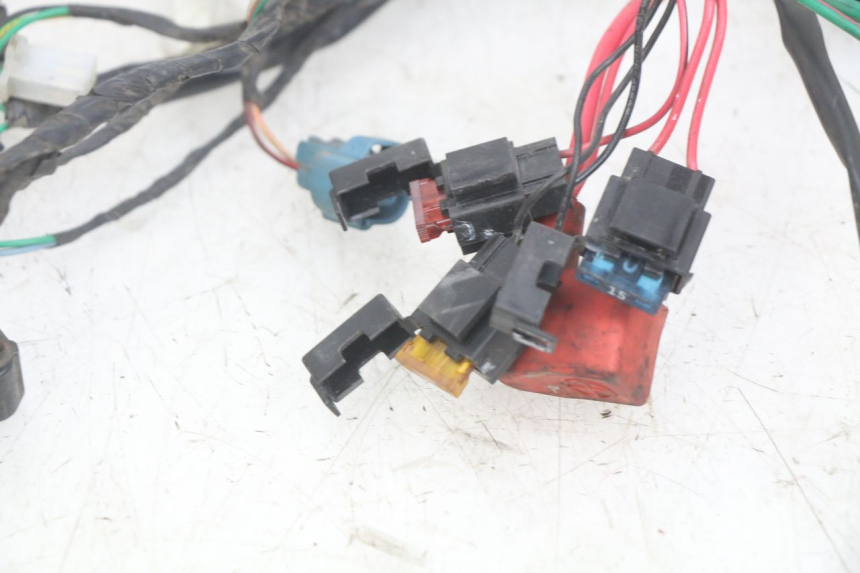 photo de FAISCEAU PEUGEOT DJANGO 4T 50 (2014 - 2019)