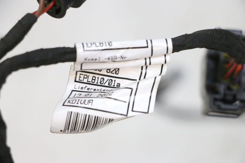 photo de FARI CABLAGGIO BMW R GS 1250 (2021 - 2024) - Zoom sullo stato d'uso