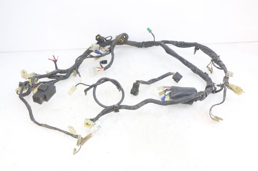 photo de CABLAGGIO FARO YAMAHA YZF R THUNDERCAT 600 (1996 - 2003)