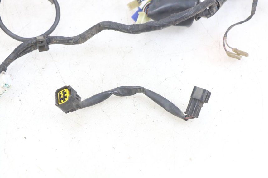 photo de CABLAGGIO FARO YAMAHA YZF R THUNDERCAT 600 (1996 - 2003)