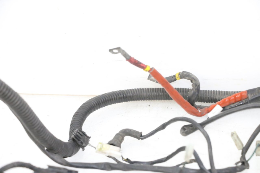 photo de IMPIANTO ELETTRICO PIAGGIO VESPA GRANTURISMO 200 (2004 - 2005)