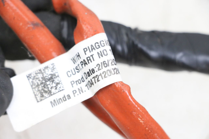 photo de IMPIANTO ELETTRICO PIAGGIO VESPA PRIMAVERA 4T 50 (2021 - 2024)