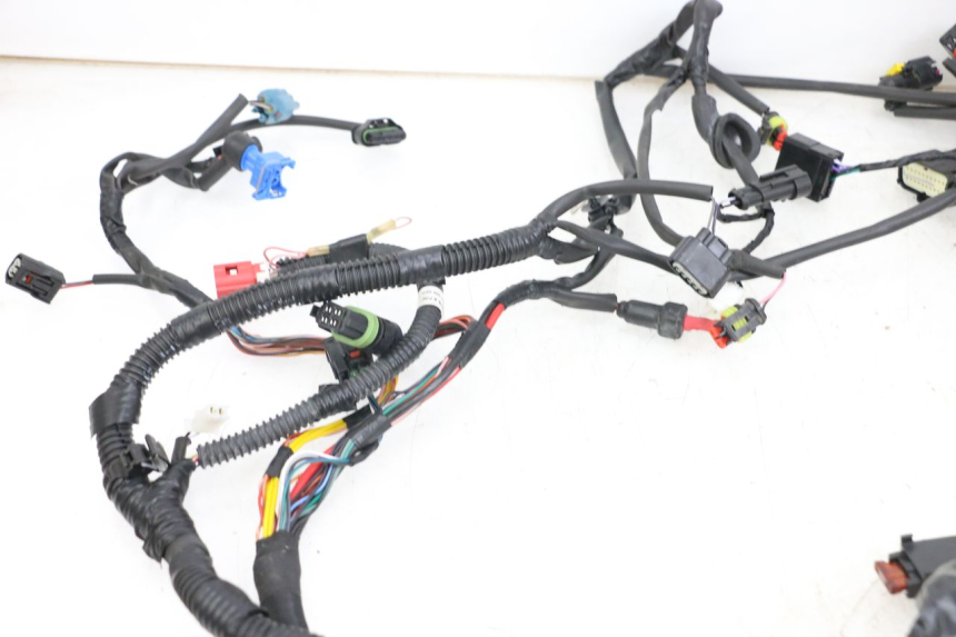photo de IMPIANTO ELETTRICO PIAGGIO VESPA PRIMAVERA 4T 50 (2021 - 2024)