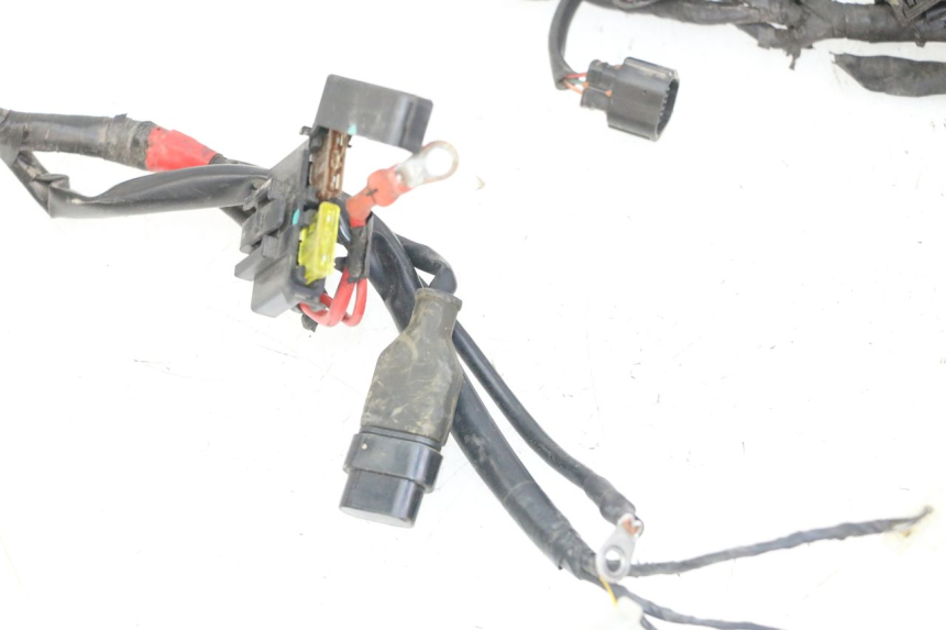 photo de FAISCEAU PIAGGIO ZIP 4T 50 (2018 - 2020)
