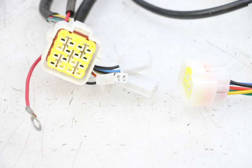 photo de IMPIANTO ELETTRICO EFUN PUSA 1 - Caratteristiche distintive