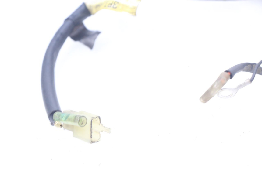 photo de FAISCEAU YAMAHA PW 50 (1984 - 2020)