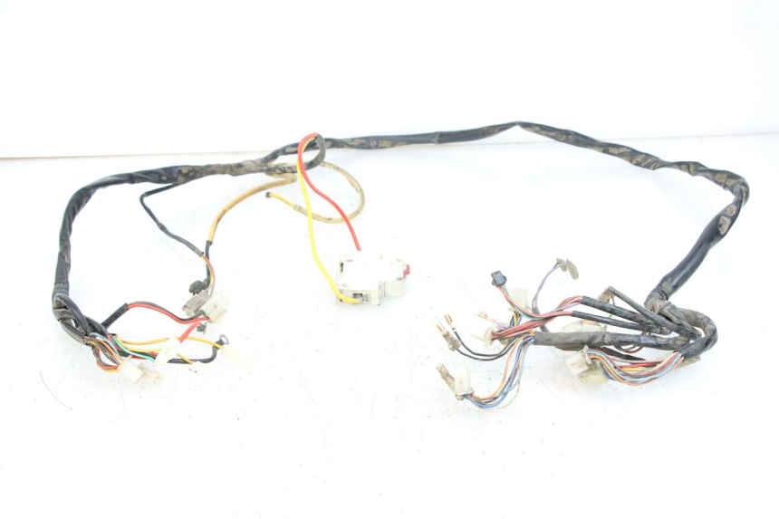 photo de IMPIANTO ELETTRICO DOLPHIN PYGMY 1 (2020 - 2024)