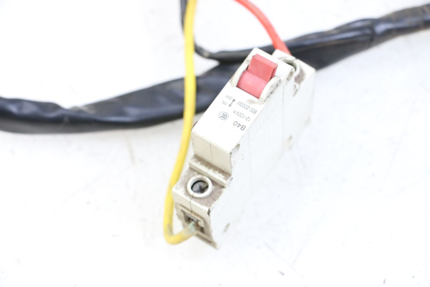photo de IMPIANTO ELETTRICO DOLPHIN PYGMY 1 (2020 - 2024)