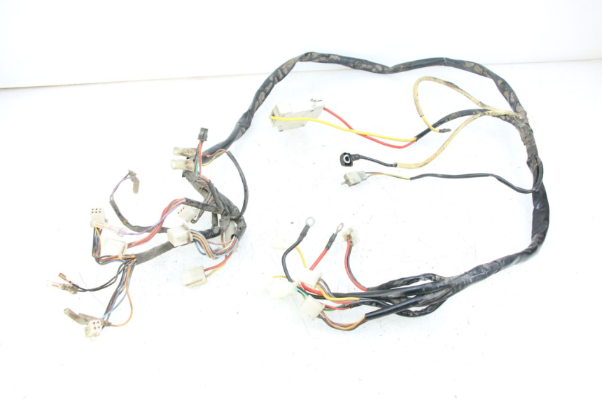 photo de IMPIANTO ELETTRICO DOLPHIN PYGMY 1 (2020 - 2024)