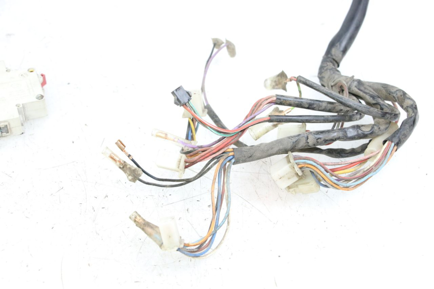 photo de IMPIANTO ELETTRICO DOLPHIN PYGMY 1 (2020 - 2024)