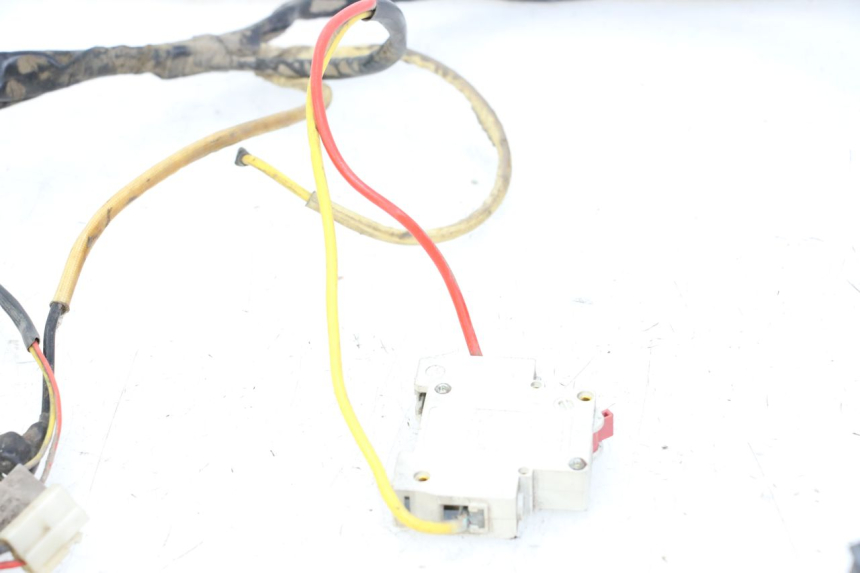 photo de IMPIANTO ELETTRICO DOLPHIN PYGMY 1 (2020 - 2024)