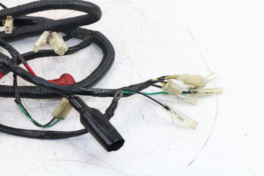 photo de Cablaggio RIDE JUMP 2T 50 (2012 - 2017)