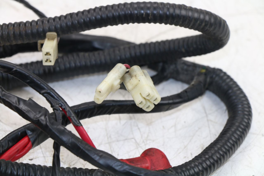 photo de Cablaggio RIDE JUMP 2T 50 (2012 - 2017)