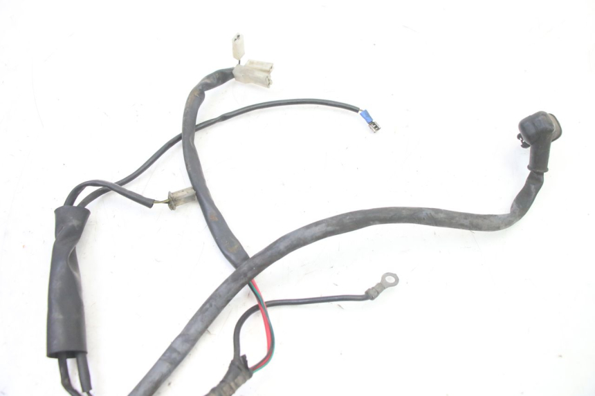photo de IMPIANTO ELETTRICO GILERA RUNNER SP 50 (2006 - 2008)