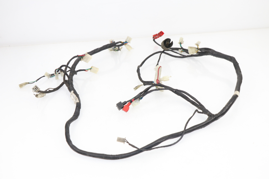 photo de Cablaggio SACHS EAGLE 50 (2007 - 2010)