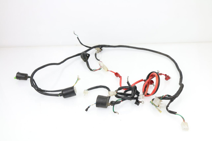 photo de Cablaggio SAMPO LY50QT-21 50 (2009 - 2014)