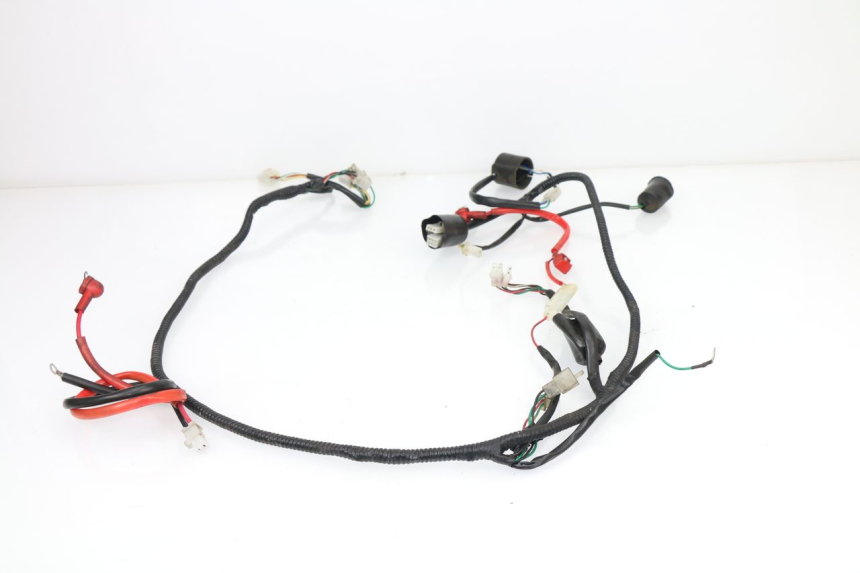 photo de Cablaggio SAMPO LY50QT-21 50 (2009 - 2014)