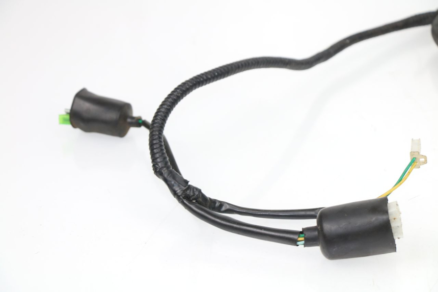 photo de Cablaggio SAMPO LY50QT-21 50 (2009 - 2014)