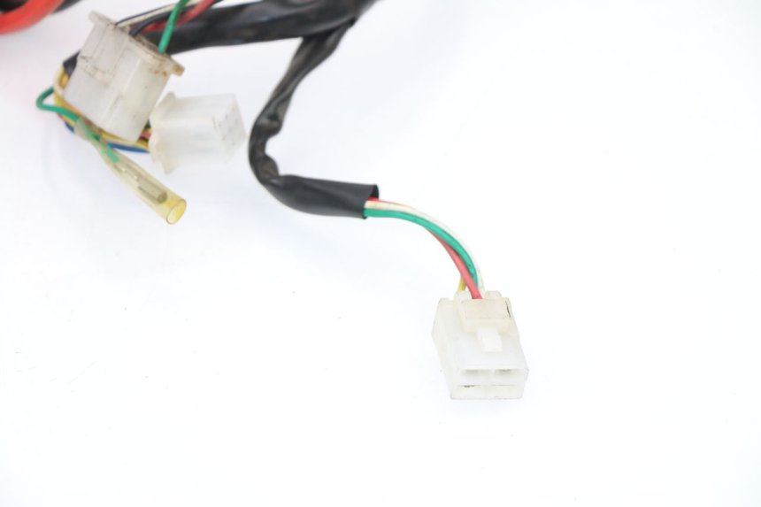 photo de Cablaggio SAMPO LY50QT-21 50 (2009 - 2014)