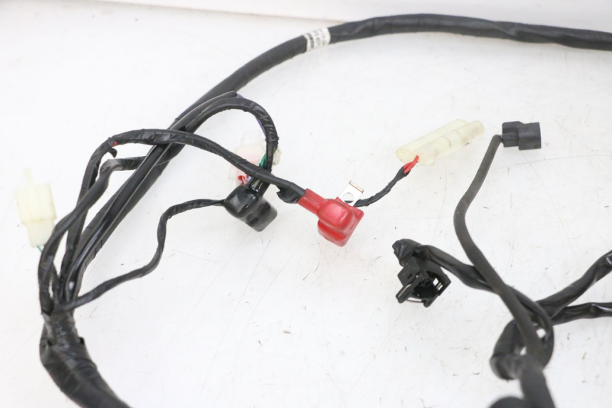 photo de IMPIANTO ELETTRICO JM MOTORS SANTANA EVO 50 (2024 - 2026) - Ricambio usato controllato