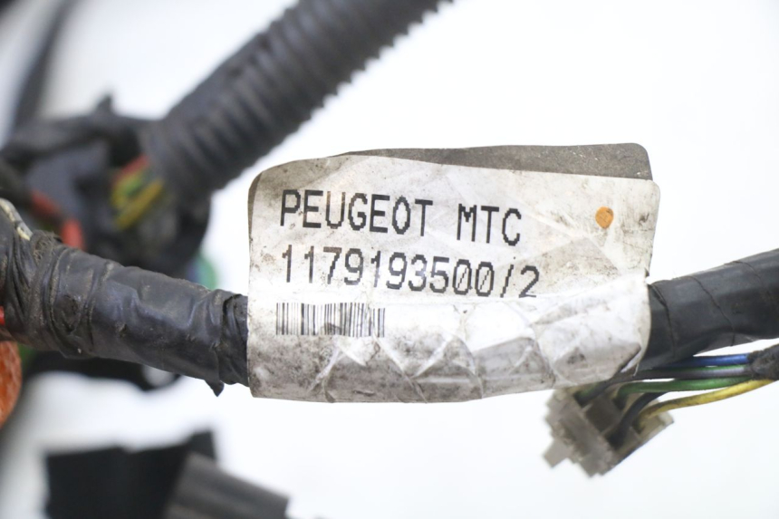 photo de Cablaggio PEUGEOT SATELIS 125 (2013 - 2018)
