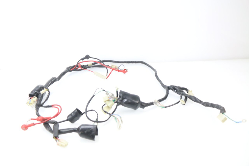 photo de IMPIANTO ELETTRICO JM MOTORS SC 4T 50 (2018 - 2021)