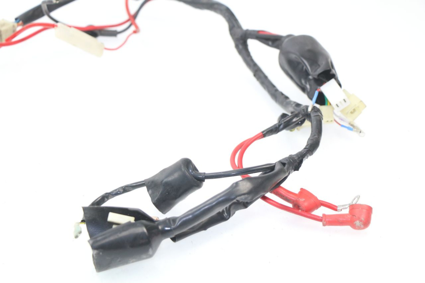 photo de IMPIANTO ELETTRICO JM MOTORS SC 4T 50 (2018 - 2021)