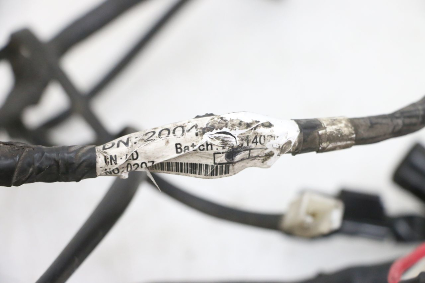 photo de IMPIANTO ELETTRICO PEUGEOT SPEEDFIGHT 4 4T EFI 50 (2021 - 2025) - Dettaglio del componente